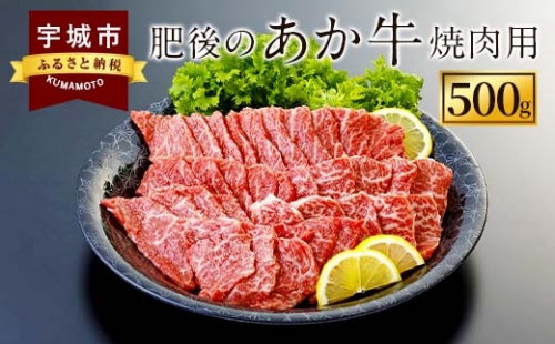 肥後のあか牛 焼肉用 約500g (熊本県産和牛）
