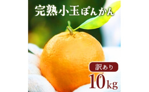 【先行予約】訳アリ完熟小玉ぽんかん＜10kg＞ 国産 東洋町産 訳あり 甘い コク ジューシー 蜜柑 ミカン 果肉 高知県 東洋町 四国 お取り寄せ フルーツ 果物 家庭用 自宅用 送料無料 産地直送 F126