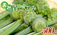 FYN9-146 [先行予約]『山菜ときのこの里西川町』 山里の春の香り 天然青こごみ 500g こごみ