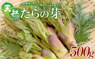 FYN9-150 《先行予約》『山菜ときのこの里西川町』 山里の春の香り 天然たらの芽 500g