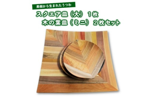 【果樹から生まれたくだものうつわ】スクエア皿（大）１枚・木の葉皿ミニ２枚セット　0058-2202 325234 - 山形県上山市