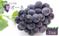 ぶどう ピオーネ 1kg 《 東ぶどう園 》 | フルーツ 果物 くだもの ぶどう ブドウ 葡萄 熊本県 玉名市