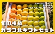 [11~12月発送] 島の宝石箱！大崎上島産　旬の柑橘カラフルギフトセット