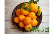 【定期便５回】 みかん ③自然塾 季節の柑橘詰合せ