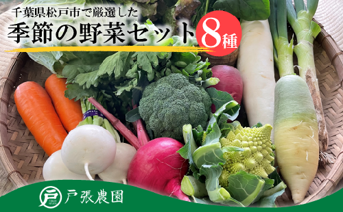 EJ001 【戸張農園】厳選おまかせ野菜セット
