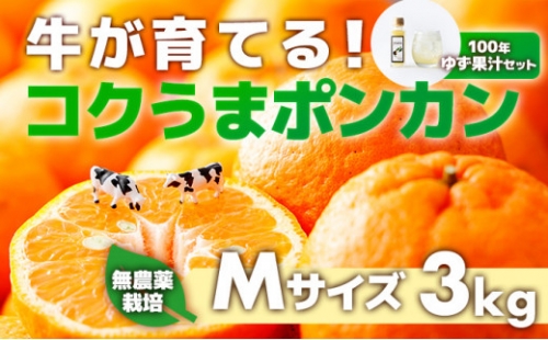 S142　牛さんポンカンMサイズ3kg+100年ゆず果汁セット 326038 - 高知県東洋町