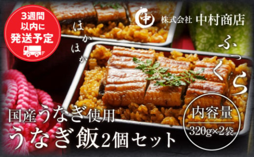 うなぎ飯2個セット(320g×2袋) 冬うなぎ_M069-005_02