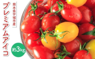 ミニトマト プチトマト トマト プレミアムアイコ 約3kg 山本農園 糖度8〜10度 高糖度 アイコトマト とまと [2026年1月下旬から順次発送] 野菜 宇城市産 熊本県産 九州産 国産
