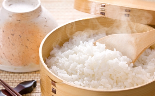 揖斐郡産　味のいび米はつしも精米10kg 32651 - 岐阜県揖斐川町