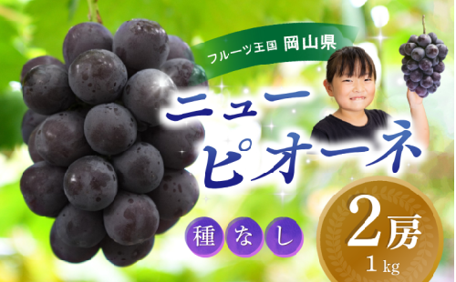 【2025年先行予約】ぶどう 岡山 花笑み農園『ニューピオーネ』1kg（2房） hana14 贈答 岡山 真庭 ピオーネ 高級 1kg 贈答 2025 真庭市 大粒 葡萄 果物 フルーツ 濃厚ピオーネ 人気 数量限定 2025年9月上旬～ 受付順に発送予定