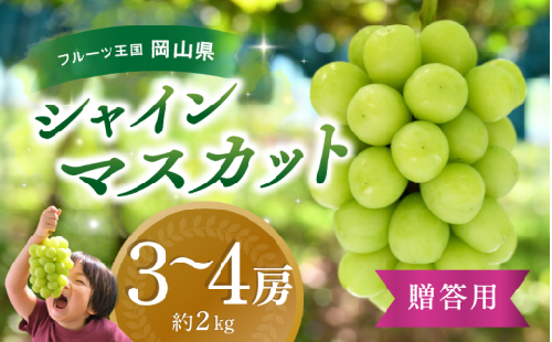 【2025年先行予約】ぶどう 岡山 花笑み農園 『シャインマスカット』約2kg（3～4房）hana16-1 贈答用 岡山 真庭 シャインマスカット 高級 2kg 贈答 2025 真庭市 大粒 葡萄 果物 フルーツ シャインマスカット 人気 数量限定 2025年9月下旬～ 受付順に発送予定