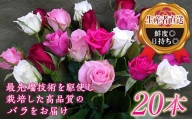 ＜生産者直送＞ バラの花束 (約20本) 薔薇 ばら バラ ミックス 花束 花 フラワーギフト 贈り物 ギフト 記念日 お祝い F20E-686