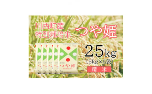 つや姫25kg　精米　真空パック詰【1144411】