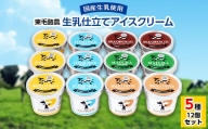 群馬県太田市　生乳仕立てアイスクリーム 12個セット【1223043】
