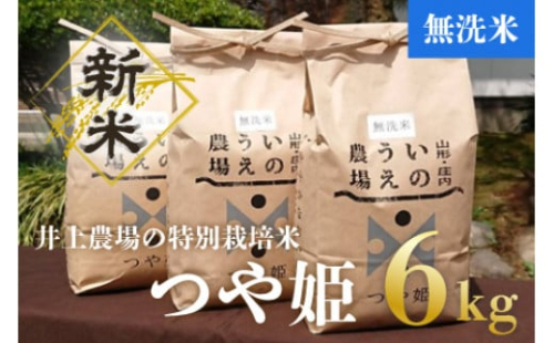 A04-016 【令和4年産】井上農場の特別栽培米つや姫無洗米6kg(2㎏×3袋) 328511 - 山形県鶴岡市
