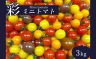 サザキ農園　ミニトマト彩りセット（丸型）　3kg