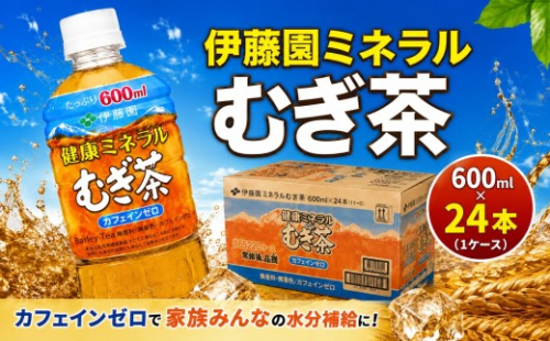 【伊藤園 健康ミネラルむぎ茶】 600ml 24本セット 1ケース  麦茶 防災 茶 ペットボトル 飲料 生活必需品 非常用 災害対策 水分補給 神奈川県 厚木市 ITE001