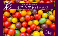 ミニトマト 生産量 日本一 玉名市 !! サザキ農園 ミニトマト 彩りセット（ ミックス ）約 3kg  | 野菜 トマト ミニトマト プチトマト とまと カラフル トマト 宝石 ミニトマト 熊本県 玉名市