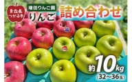 りんご 詰め合わせ 10kg (32～36玉)｜青森県産 津軽 つがる リンゴ [0059]