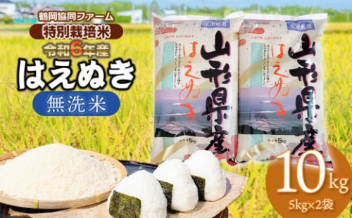 【令和4年産米】特別栽培米はえぬき無洗米10㎏（5kg×2袋）鶴岡協同ファーム