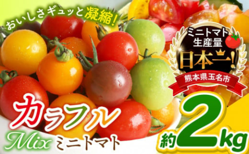 ミニトマト 生産量 日本一 玉名市 !! 彩りセット （ミックス） 2kg | カラフル トマト とまと トマト ミニトマト トマト ミニトマト 熊本県 サザキ農園  トマト ミニトマト