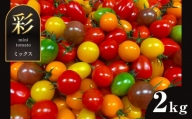 ミニトマト 生産量 日本一 玉名市 !! 彩りセット (ミックス) 2kg | カラフル トマト とまと 熊本県 サザキ農園