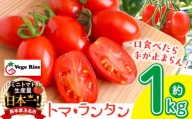 ミニトマト生産量 日本一 玉名市 !! 「 トマ・ランタン 」 約 1kg ミニトマト トマト Vege Rise 野菜 高糖度 濃厚 アイコ