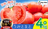 玉名市産 トマト 「 うみとまと 」 4kg ｜ 大玉 トマト 野菜 新鮮 高糖度 熊本県 玉名市 くまもと たまな