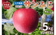 りんご サンふじ 葉取らず 5kg (16～18玉) 青森県産 津軽 つがる リンゴ [0100]