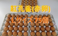 押木養鶏場の「紅孔雀」赤卵・Lサイズ・75個【1248204】