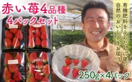 自宅で苺狩り!赤い苺4品種4パックセット(1パック250g) F20E-725