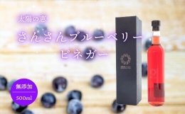【ふるさと納税】ブルーベリー ビネガー 酢 調味料 500ml × 1瓶 高知県 須崎市