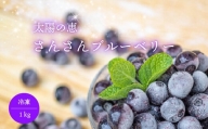 ≪早期予約　5/20以降出荷予定≫ブルーベリー 1kg 冷凍 健康 食品 500g × 2袋 高知県 須崎市