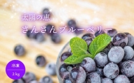 ≪早期予約　5/20以降出荷予定≫ブルーベリー 2kg 冷凍 健康 食品 500g × 4袋 高知県 須崎市