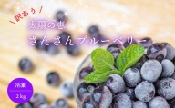 訳あり ブルーベリー 2kg 冷凍 健康 食品 不揃い 500g × 4袋 高知県 須崎市