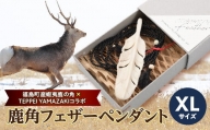 【福島町産蝦夷鹿の角×TEPPEI YAMAZAKIコラボ】鹿角フェザーペンダント XLサイズ
