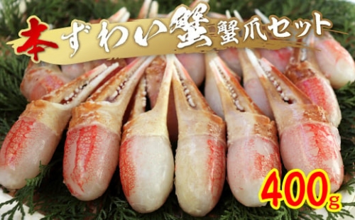 本ずわい蟹 蟹爪セット 400g【1247987】 330753 - 大阪府岸和田市