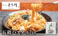 五穀パスタ 4.7kg | 食品 麺類 乾麺 パスタ 五穀パスタ 熊本県 玉名市