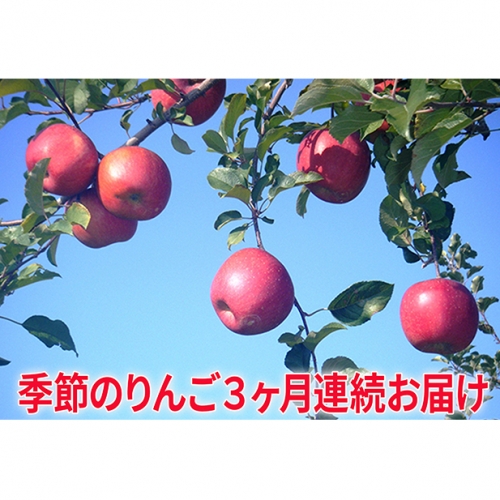 【2019年度産】季節のりんご5kg 3か月連続お届け(10~12月)