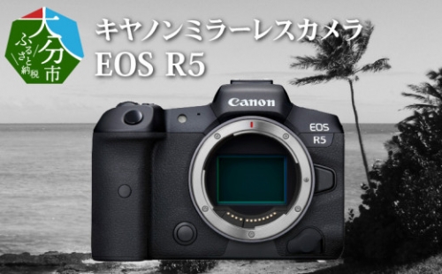 【R14038】キヤノンミラーレスカメラ　EOS R5