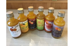 みかんジュース専門店「夢工房くまの」特製！温州みかんレギュラー、マルチ栽培みかん、不知火、カラマンダリン、セミノール、甘夏のバラエティー豊かな6種類のみかんジュースをお楽しみいただけます。飲みきりサイ