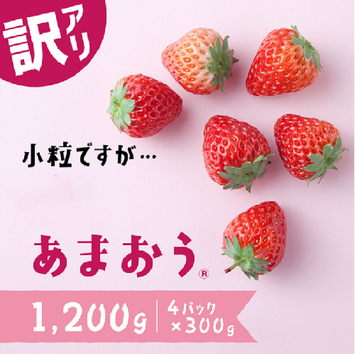 AB380.【訳あり.限定品】あまおう.小粒ですが約１２００g（先行受付．２０２６年１月以降発送）