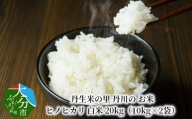 丹生米の里 丹川のお米 ヒノヒカリ白米 20kg（10kg×2袋） 米 白米 精米 大分県 ご飯 美味しい お弁当 ブランド米 人気 ひのひかり B01029