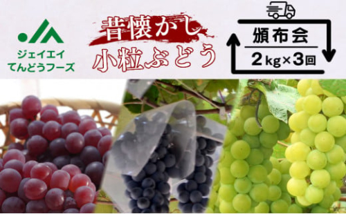 05E0260 昔懐かしのぶどう頒布会(定期便)全3回 331500 - 山形県天童市
