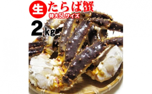 巨大　生タラバ蟹　5L　2kg【1260977】
