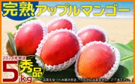 大ボリューム完熟アップルマンゴー　秀品・約5kg【2024年発送】農園から直送！