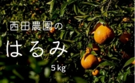 [2月発送] 大崎上島産 西田農園のはるみ 約5kg（30個程度）