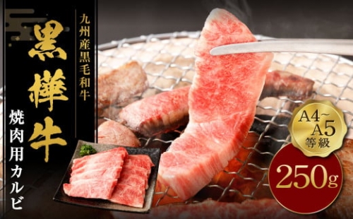 九州産黒毛和牛 杉本本店 黒樺牛 A4~A5等級 焼肉用カルビ 300g