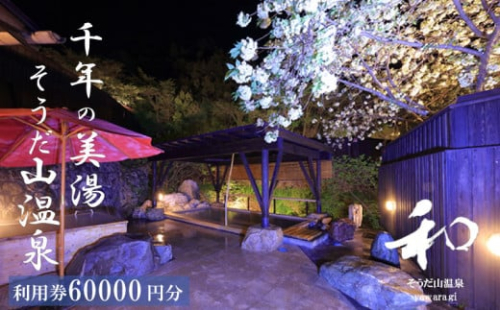 宿泊 券 60,000円分 温泉 ギフト チケット 千年の美湯 そうだ山温泉 旅館 高知県 須崎市 SO056