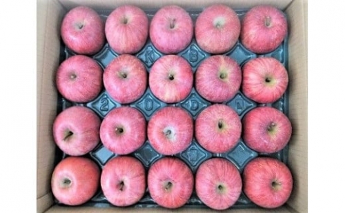 りんご（サンふじ）５ｋｇ　２０玉　特秀品　0056-2225
